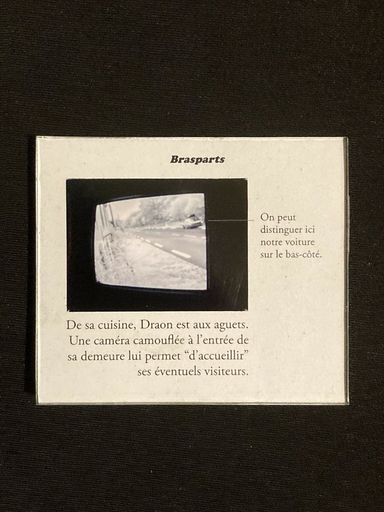 Pierre Fisher ; Justin Meekel élément de l'installation Verdure Tour : De la France mystérieuse Bretagne, France 2009/7/8-2009/8/13 2020.44.1.29 Photo Mucem