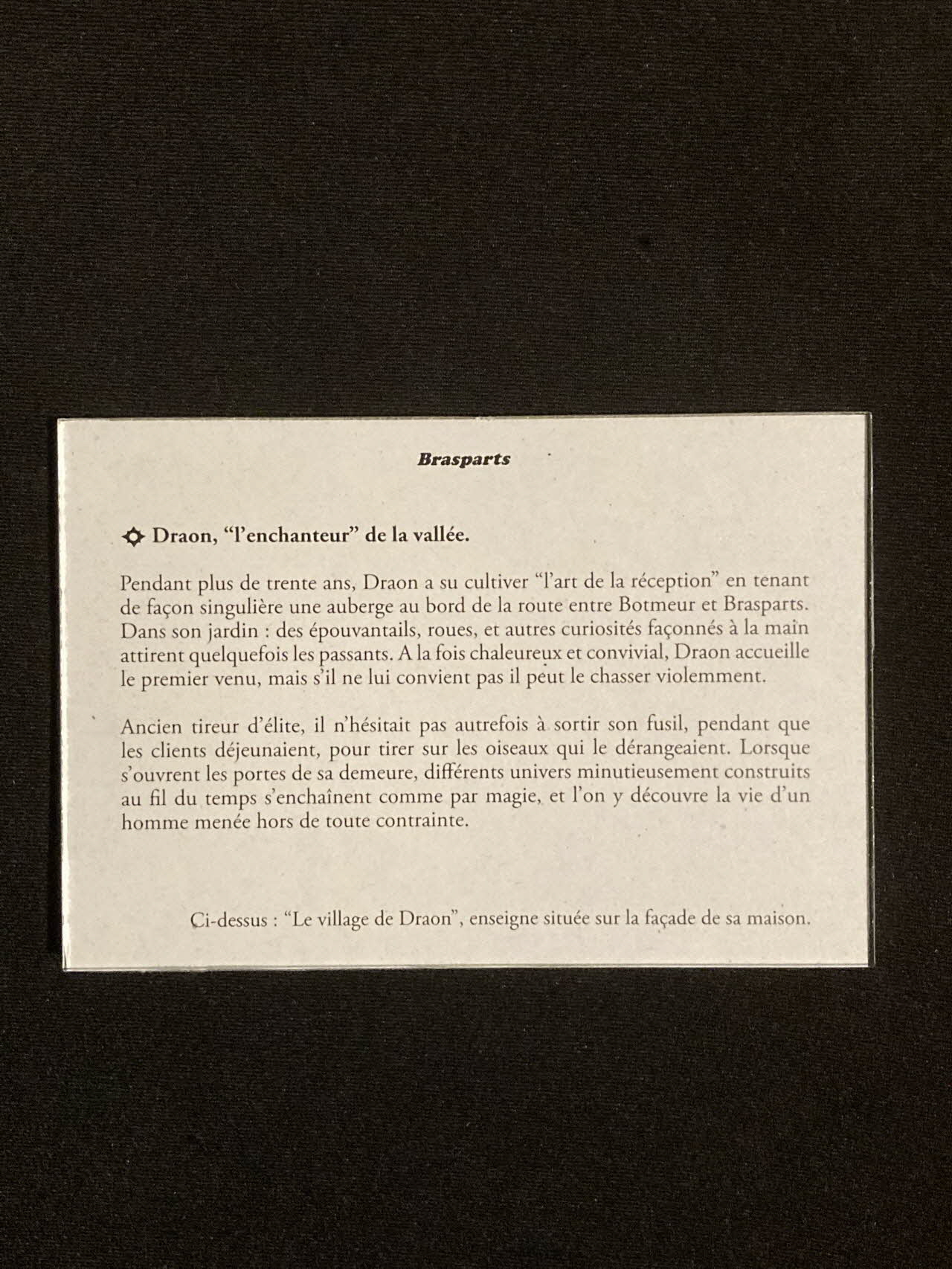 Pierre Fisher ; Justin Meekel élément de l'installation Verdure Tour : De la France mystérieuse Bretagne, France 2009/7/8-2009/8/13 2020.44.1.30 Photo Mucem