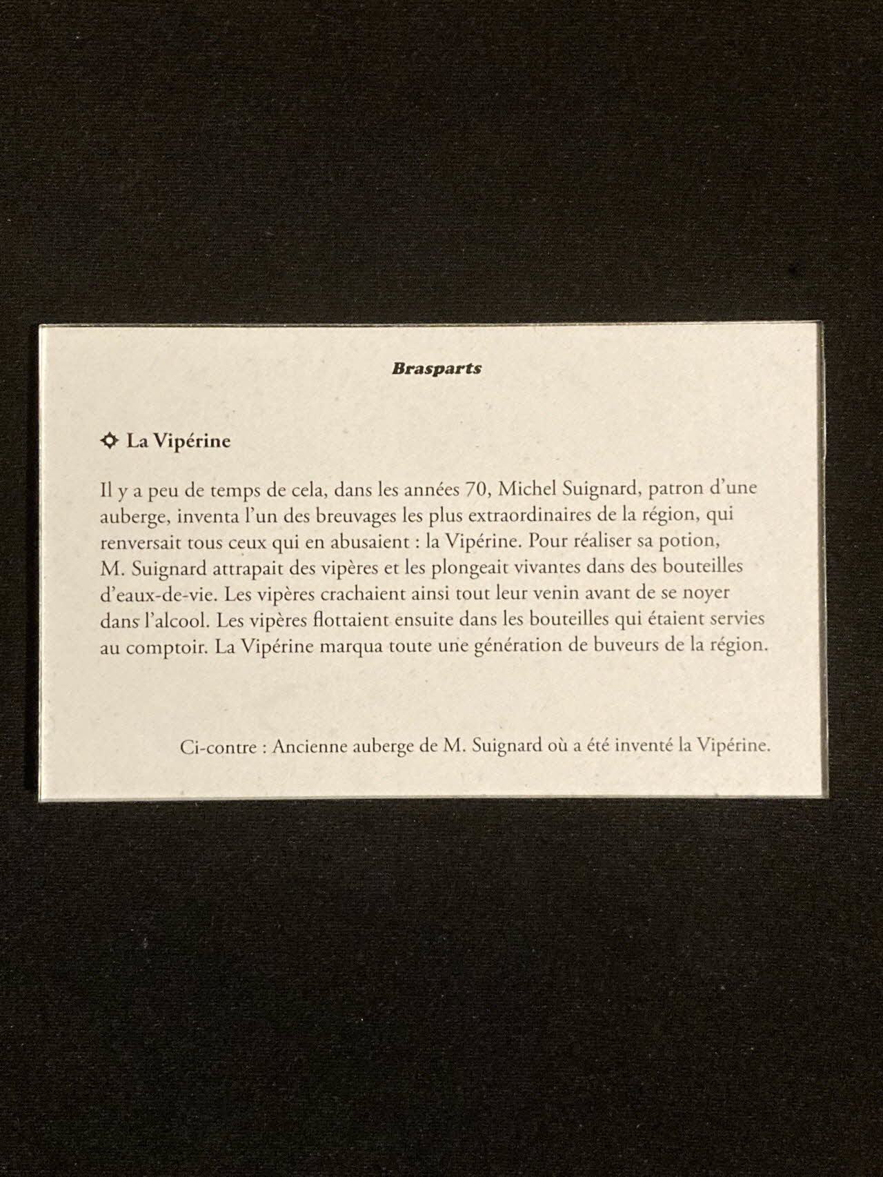 Pierre Fisher ; Justin Meekel élément de l'installation Verdure Tour : De la France mystérieuse Bretagne, France 2009/7/8-2009/8/13 2020.44.1.33 Photo Mucem