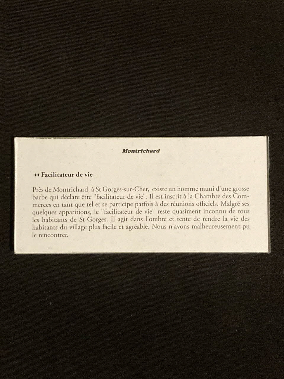 Pierre Fisher ; Justin Meekel élément de l'installation Verdure Tour : De la France mystérieuse Centre-Val de Loire, France 2009/7/8-2009/8/13 2020.44.1.35 Photo Mucem