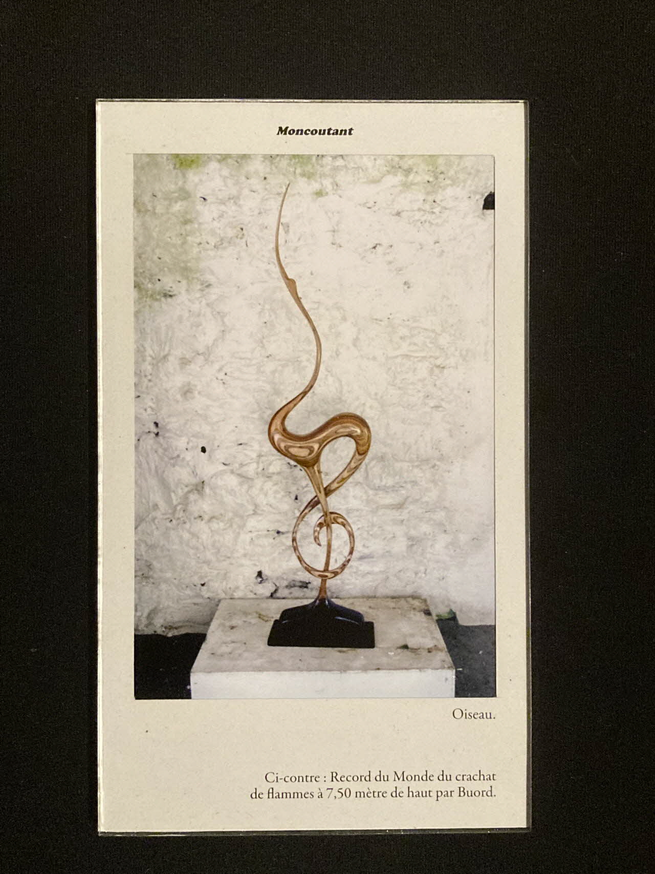 Pierre Fisher ; Justin Meekel élément de l'installation Verdure Tour : De la France mystérieuse Poitou-Charentes, France 2009/7/8-2009/8/13 2020.44.1.37 Photo Mucem