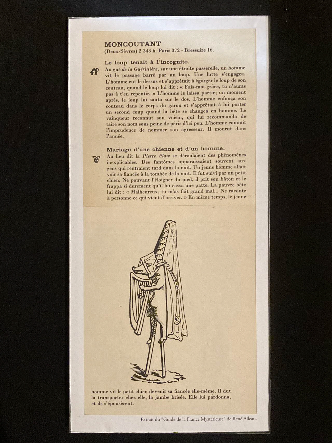 Pierre Fisher ; Justin Meekel élément de l'installation Verdure Tour : De la France mystérieuse 2009/7/8-2009/8/13 2020.44.1.39 Photo Mucem