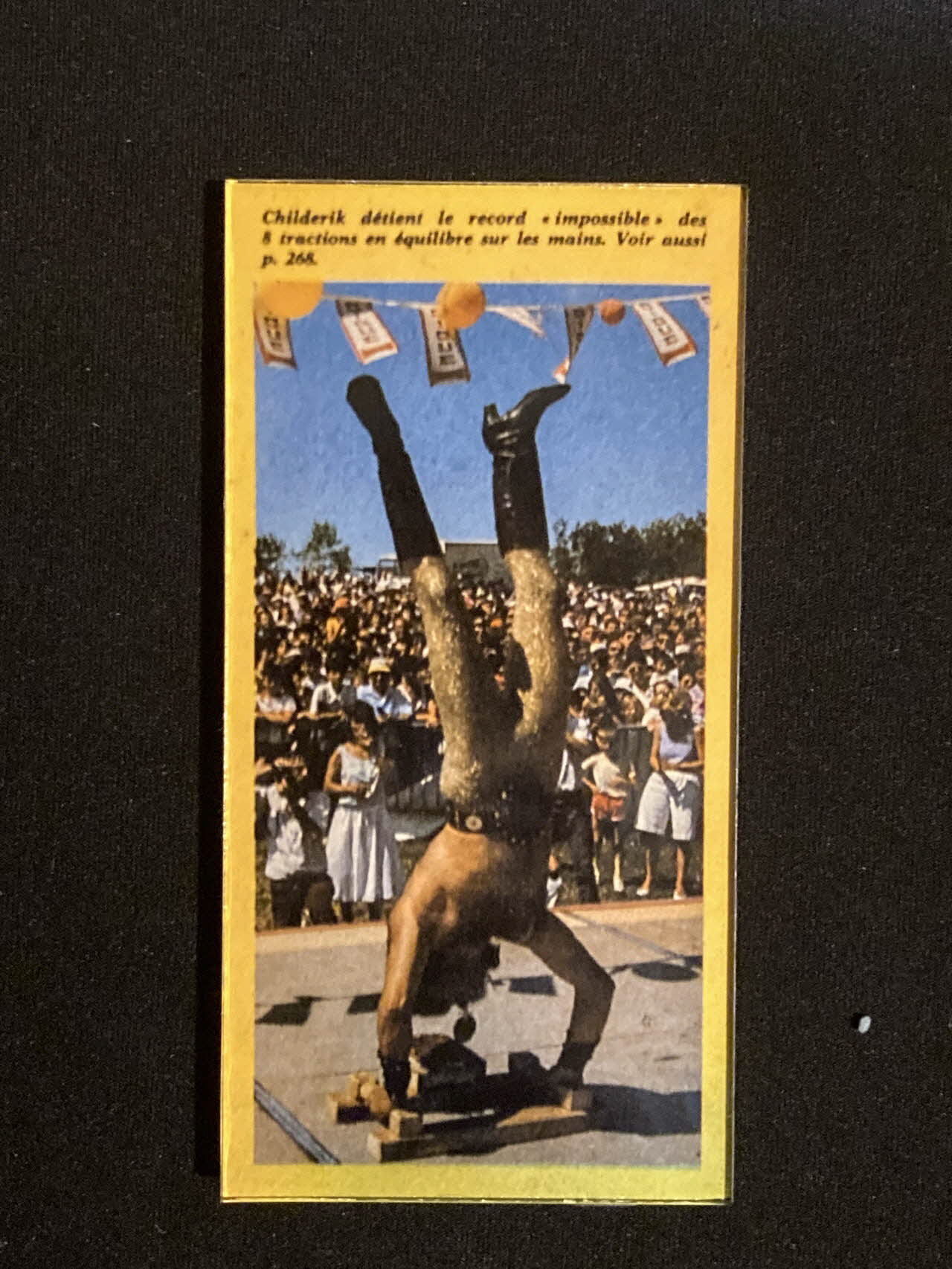 Pierre Fisher ; Justin Meekel élément de l'installation Verdure Tour : De la France mystérieuse Poitou-Charentes, France 2009/7/8-2009/8/13 2020.44.1.40 Photo Mucem