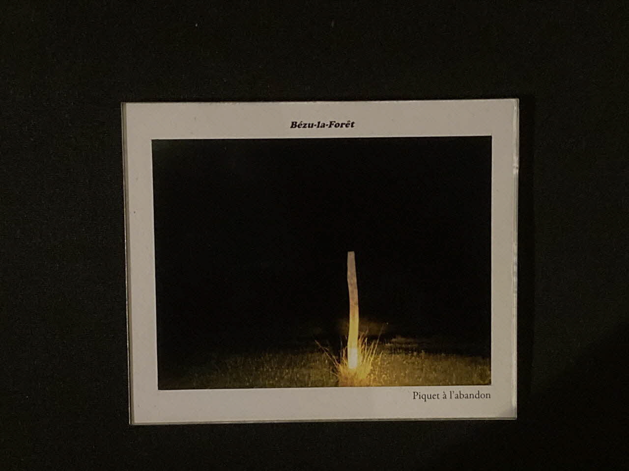 Pierre Fisher ; Justin Meekel élément de l'installation Verdure Tour : De la France mystérieuse Haute-Normandie, France 2009/7/8-2009/8/13 2020.44.1.5 Photo Mucem