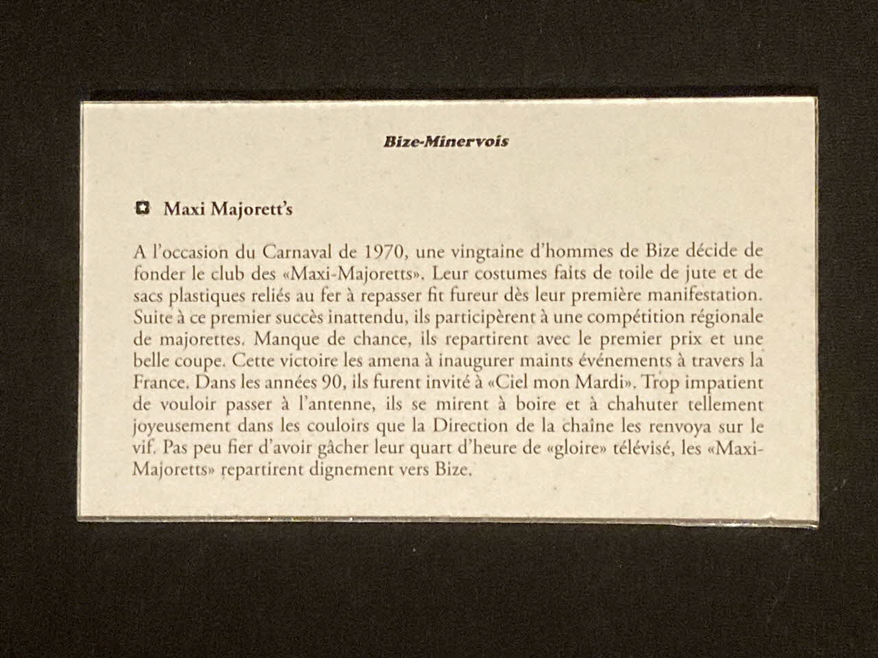 Pierre Fisher ; Justin Meekel élément de l'installation Verdure Tour : De la France mystérieuse Languedoc-Roussillon, France 2009/7/8-2009/8/13 2020.44.1.53 Photo Mucem
