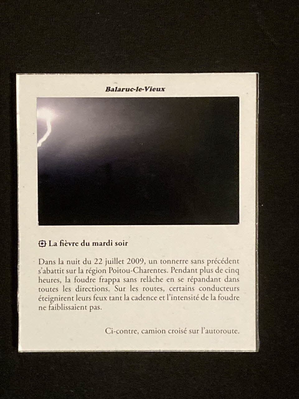 Pierre Fisher ; Justin Meekel élément de l'installation Verdure Tour : De la France mystérieuse Languedoc-Roussillon, France 2009/7/8-2009/8/13 2020.44.1.58 Photo Mucem
