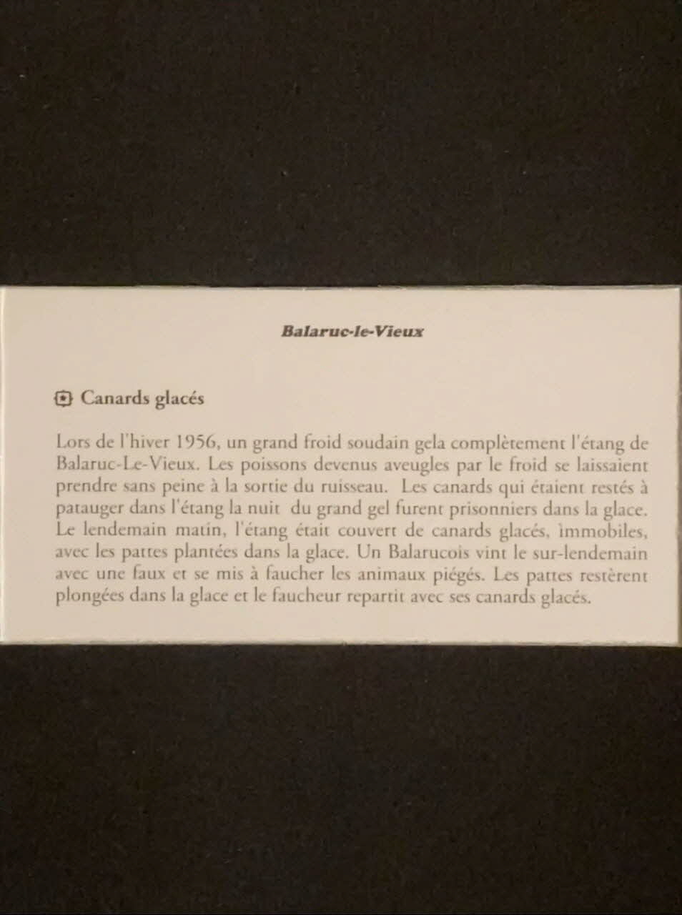 Pierre Fisher ; Justin Meekel élément de l'installation Verdure Tour : De la France mystérieuse Languedoc-Roussillon, France 2009/7/8-2009/8/13 2020.44.1.59 Photo Mucem