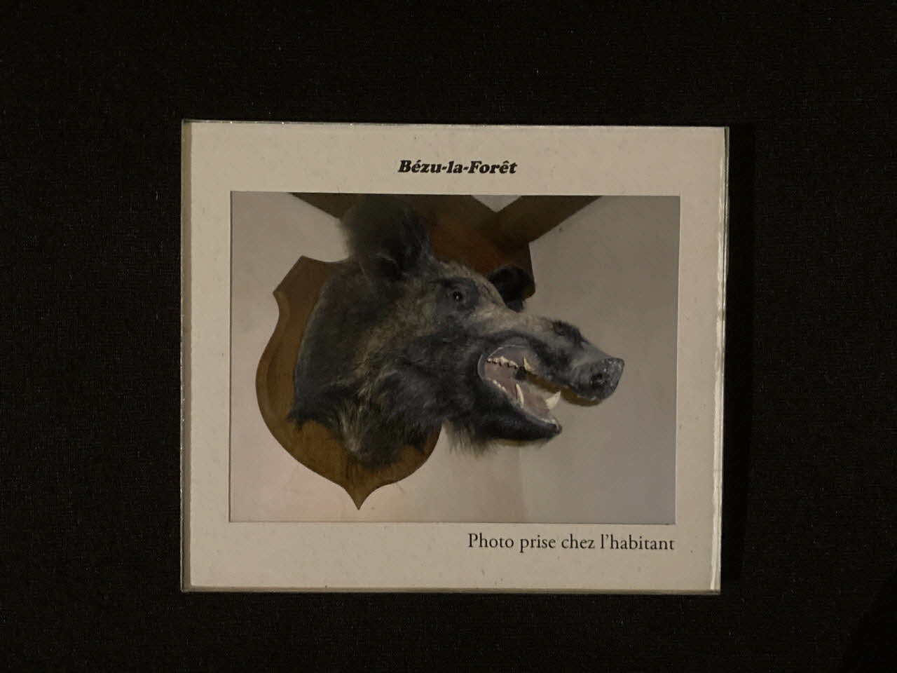 Pierre Fisher ; Justin Meekel élément de l'installation Verdure Tour : De la France mystérieuse Haute-Normandie, France 2009/7/8-2009/8/13 2020.44.1.6 Photo Mucem