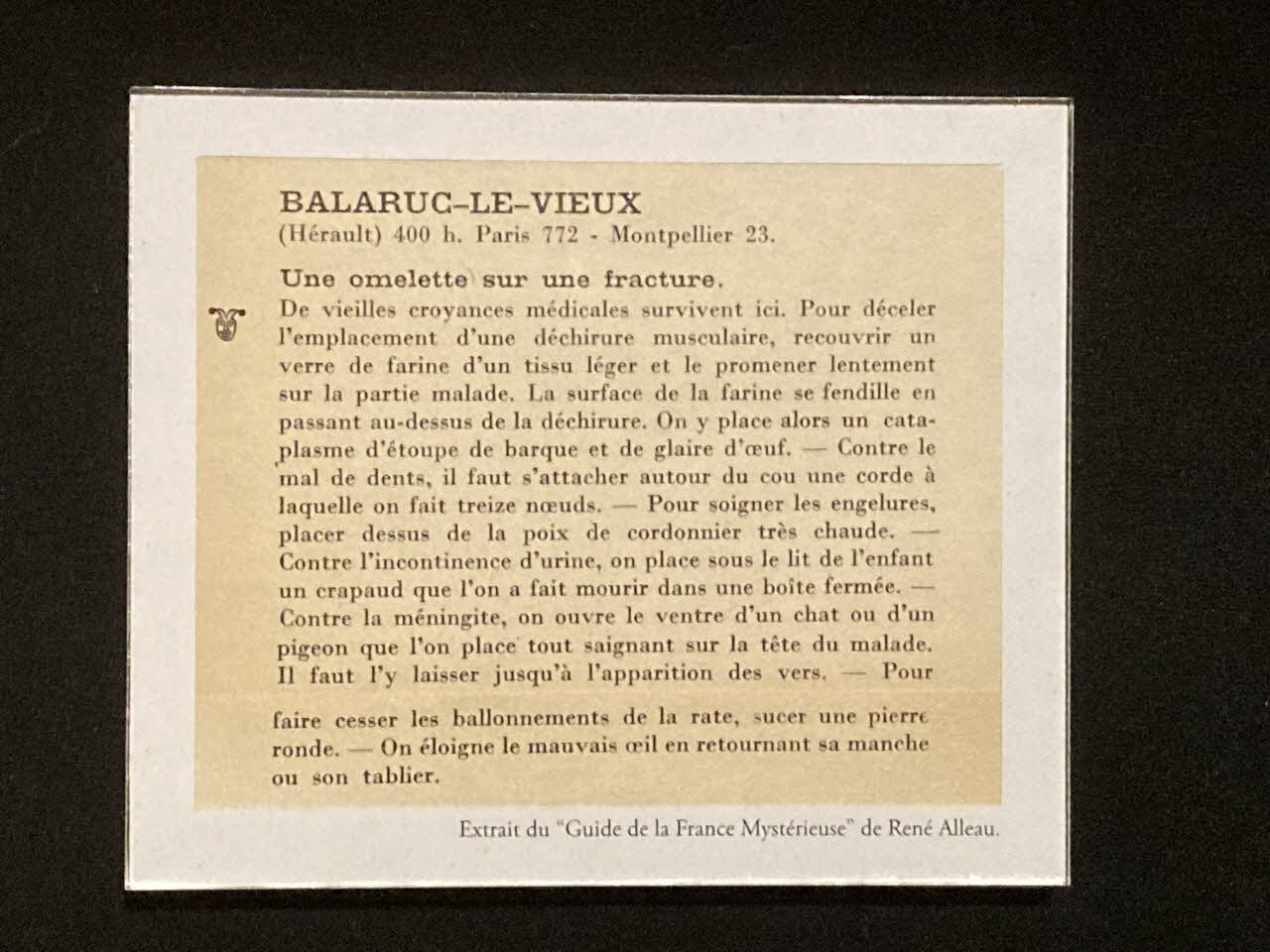 Pierre Fisher ; Justin Meekel élément de l'installation Verdure Tour : De la France mystérieuse 2009/7/8-2009/8/13 2020.44.1.60 Photo Mucem