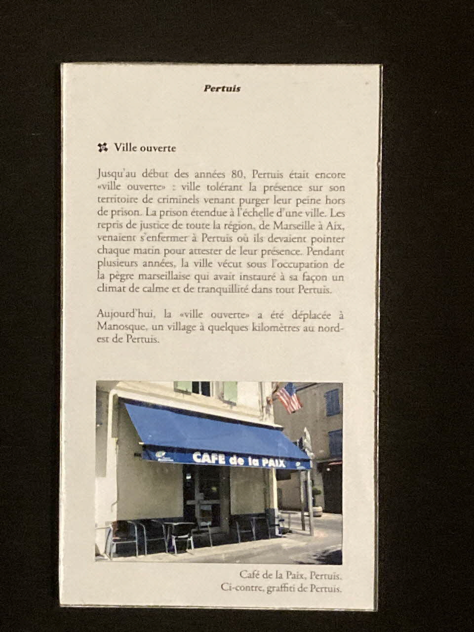 Pierre Fisher ; Justin Meekel élément de l'installation Verdure Tour : De la France mystérieuse Provence-Alpes-Côte d'Azur, France 2009/7/8-2009/8/13 2020.44.1.62 Photo Mucem
