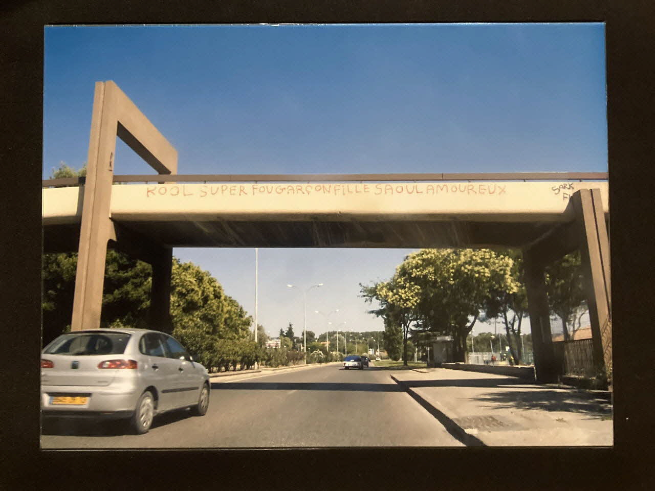 Pierre Fisher ; Justin Meekel élément de l'installation Verdure Tour : De la France mystérieuse Provence-Alpes-Côte d'Azur, France 2009/7/8-2009/8/13 2020.44.1.64 Photo Mucem