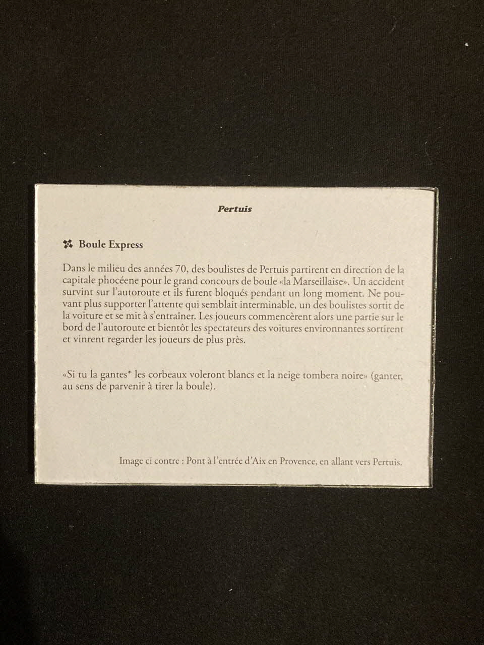 Pierre Fisher ; Justin Meekel élément de l'installation Verdure Tour : De la France mystérieuse Provence-Alpes-Côte d'Azur, France 2009/7/8-2009/8/13 2020.44.1.65 Photo Mucem