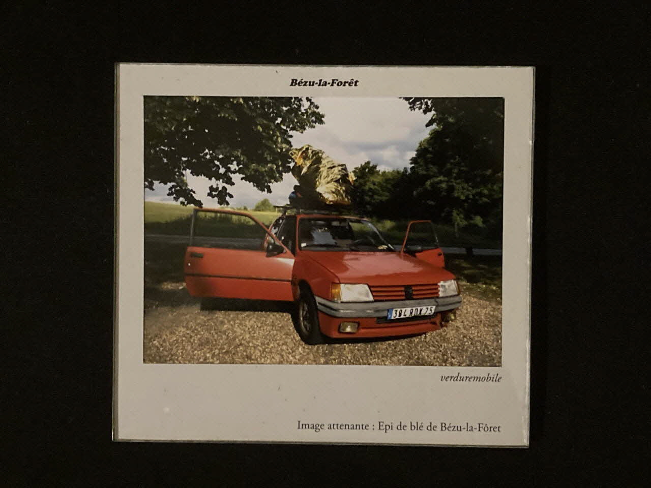 Pierre Fisher ; Justin Meekel élément de l'installation Verdure Tour : De la France mystérieuse Haute-Normandie, France 2009/7/8-2009/8/13 2020.44.1.7 Photo Mucem