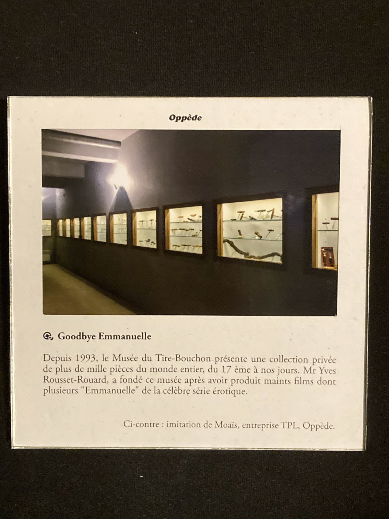 Pierre Fisher ; Justin Meekel élément de l'installation Verdure Tour : De la France mystérieuse Provence-Alpes-Côte d'Azur, France 2009/7/8-2009/8/13 2020.44.1.71 Photo Mucem