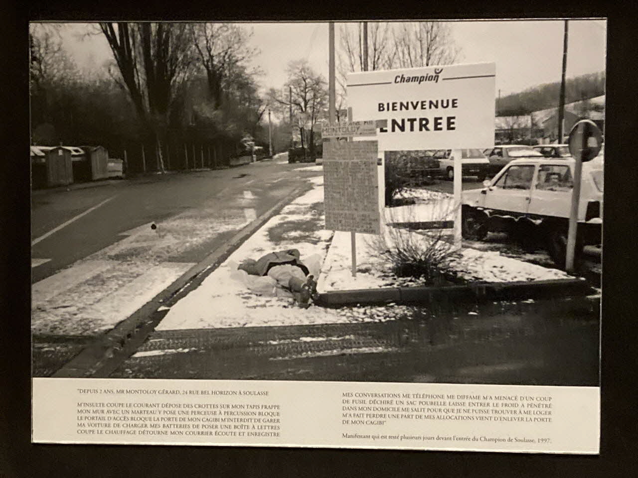 Pierre Fisher ; Justin Meekel élément de l'installation Verdure Tour : De la France mystérieuse Auvergne, France 2009/7/8-2009/8/13 2020.44.1.74 Photo Mucem