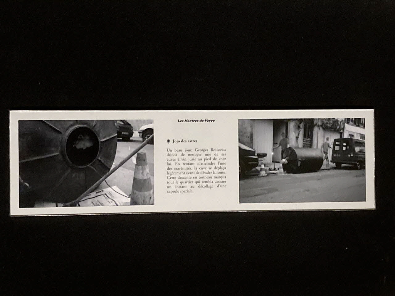 Pierre Fisher ; Justin Meekel élément de l'installation Verdure Tour : De la France mystérieuse Auvergne, France 2009/7/8-2009/8/13 2020.44.1.79 Photo Mucem