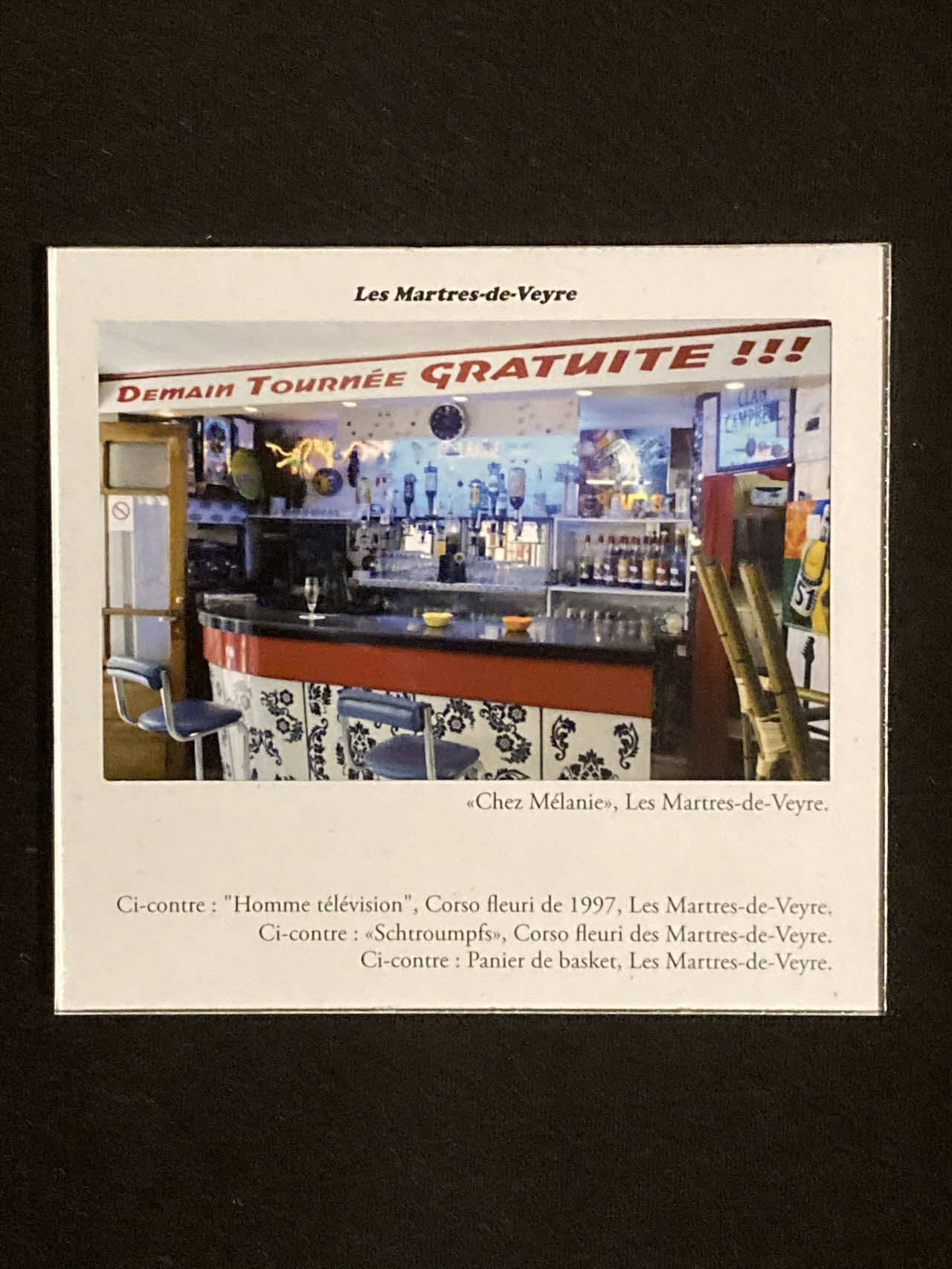 Pierre Fisher ; Justin Meekel élément de l'installation Verdure Tour : De la France mystérieuse Auvergne, France 2009/7/8-2009/8/13 2020.44.1.82 Photo Mucem