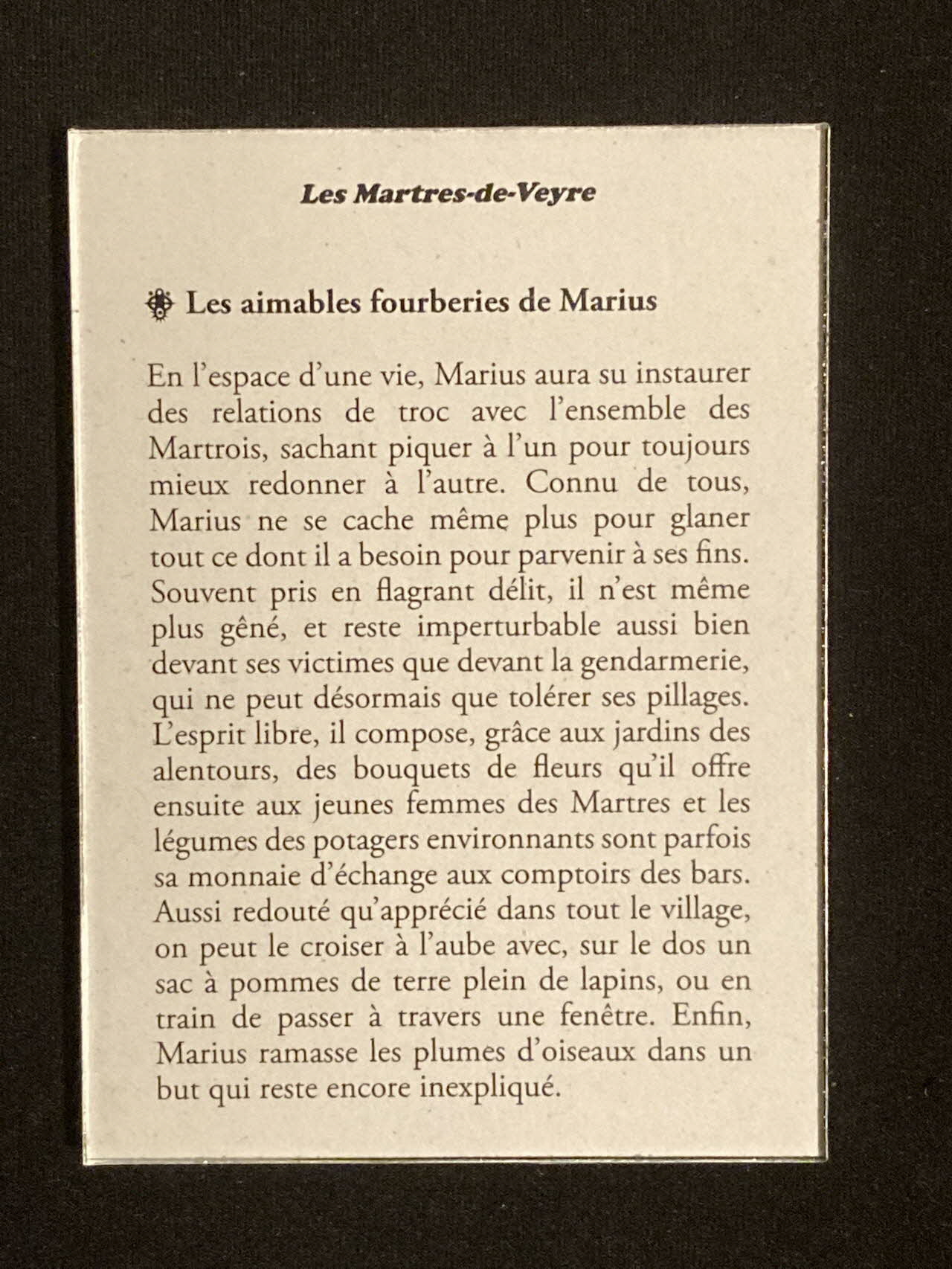 Pierre Fisher ; Justin Meekel élément de l'installation Verdure Tour : De la France mystérieuse Auvergne, France 2009/7/8-2009/8/13 2020.44.1.83 Photo Mucem
