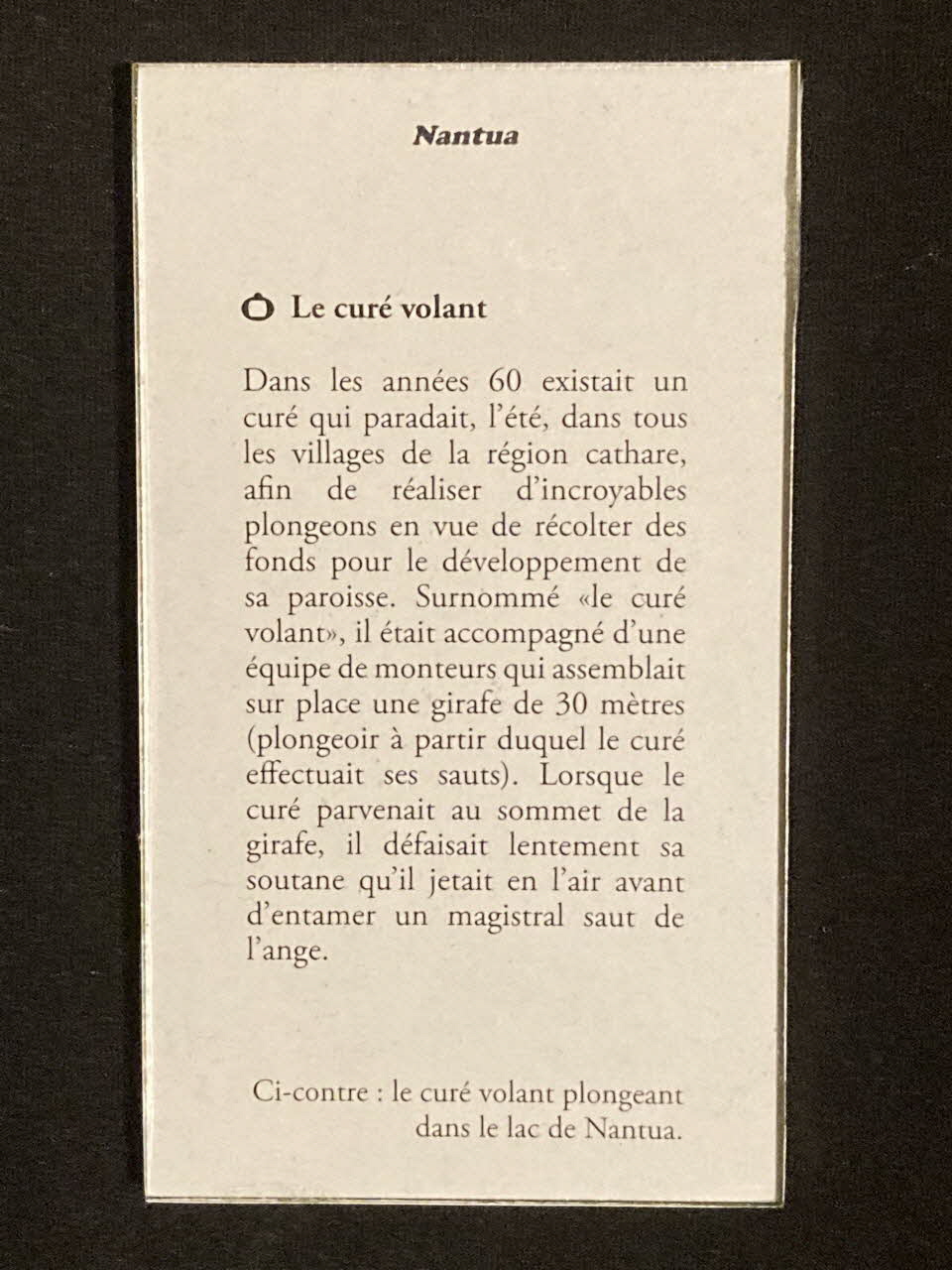 Pierre Fisher ; Justin Meekel élément de l'installation Verdure Tour : De la France mystérieuse Rhône-Alpes, France 2009/7/8-2009/8/13 2020.44.1.85 Photo Mucem