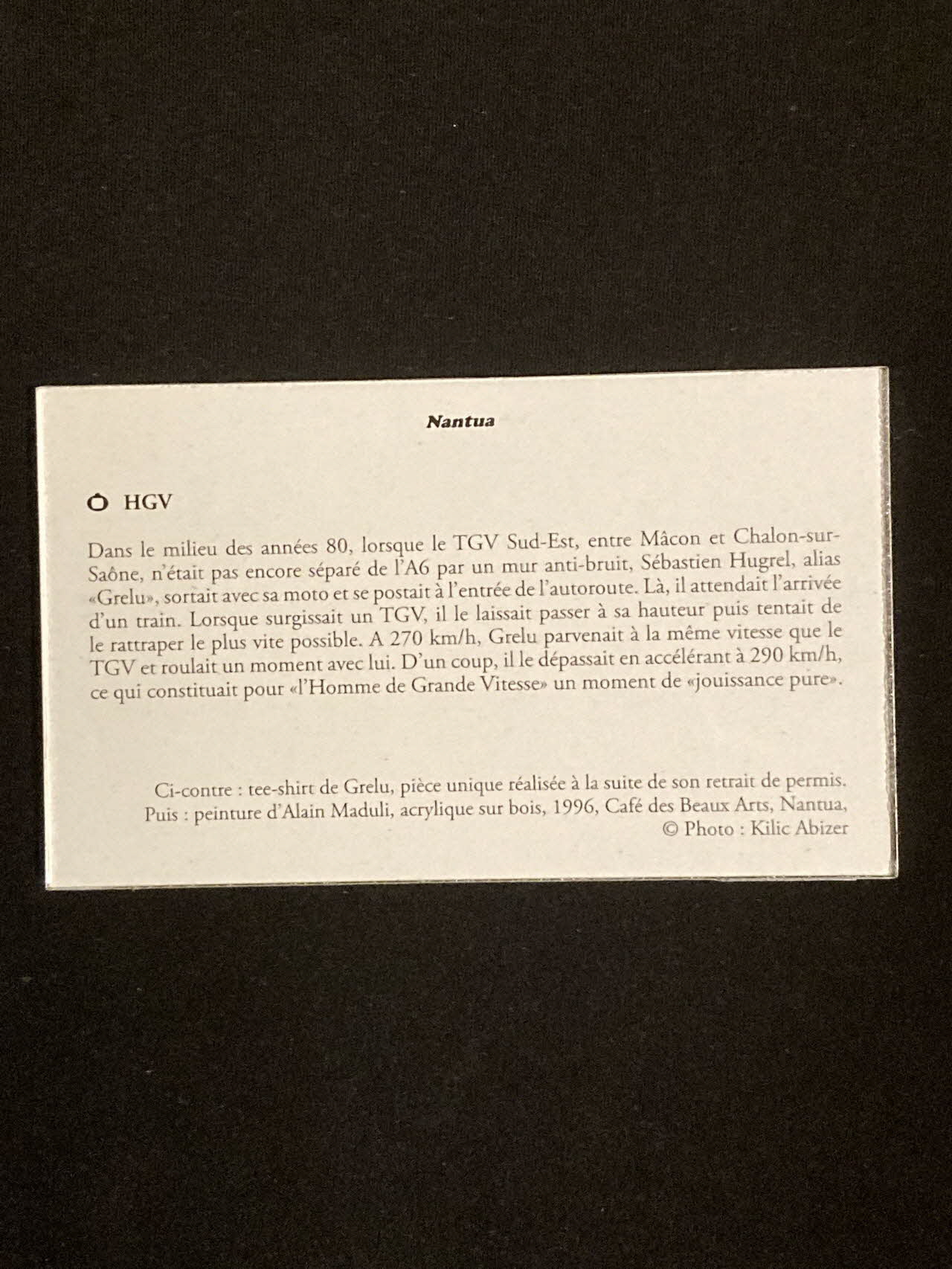Pierre Fisher ; Justin Meekel élément de l'installation Verdure Tour : De la France mystérieuse Rhône-Alpes, France 2009/7/8-2009/8/13 2020.44.1.87 Photo Mucem