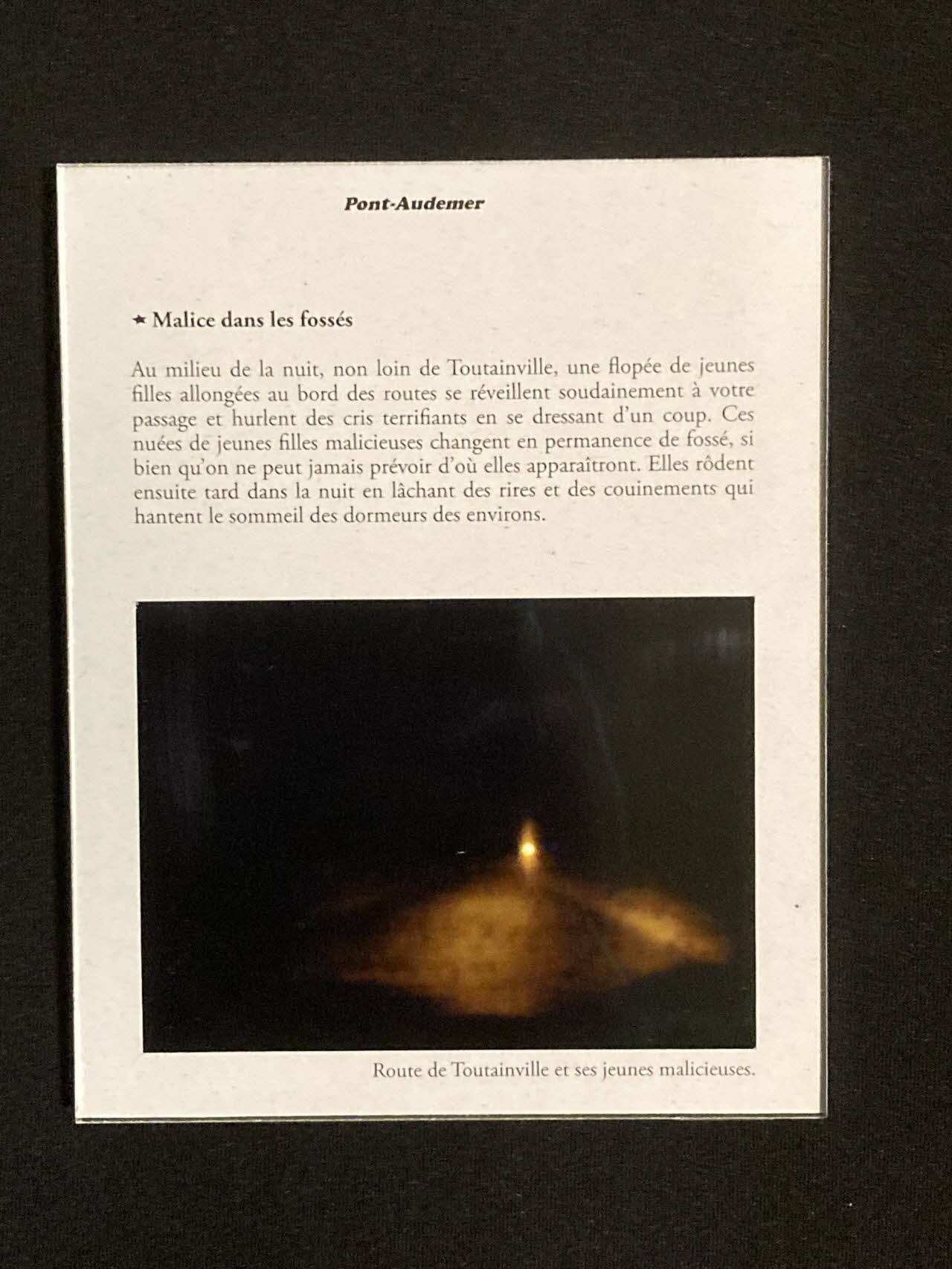 Pierre Fisher ; Justin Meekel élément de l'installation Verdure Tour : De la France mystérieuse Haute-Normandie, France 2009/7/8-2009/8/13 2020.44.1.9 Photo Mucem