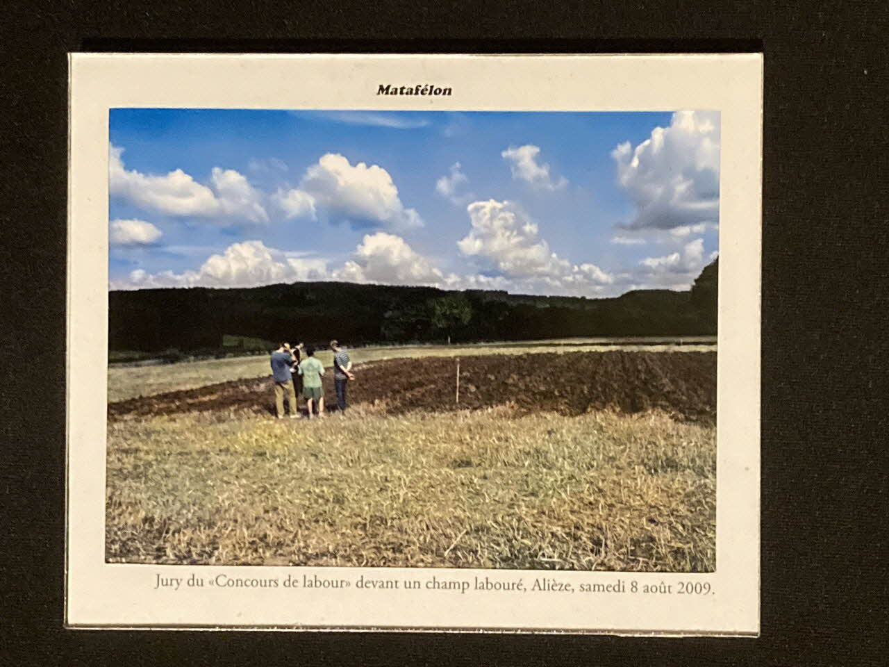 Pierre Fisher ; Justin Meekel élément de l'installation Verdure Tour : De la France mystérieuse Rhône-Alpes, France 2009/7/8-2009/8/13 2020.44.1.91 Photo Mucem