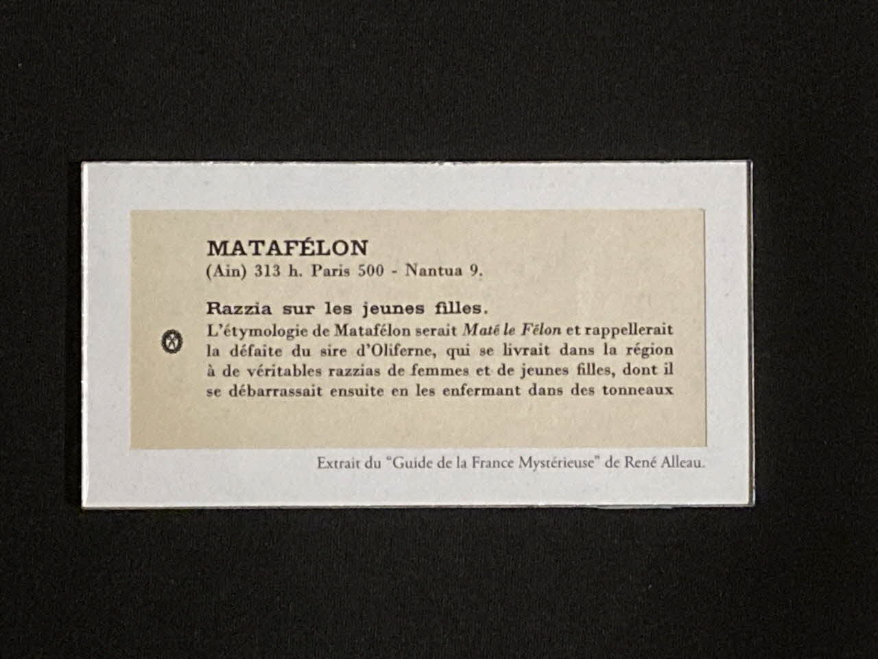 Pierre Fisher ; Justin Meekel élément de l'installation Verdure Tour : De la France mystérieuse 2009/7/8-2009/8/13 2020.44.1.92 Photo Mucem
