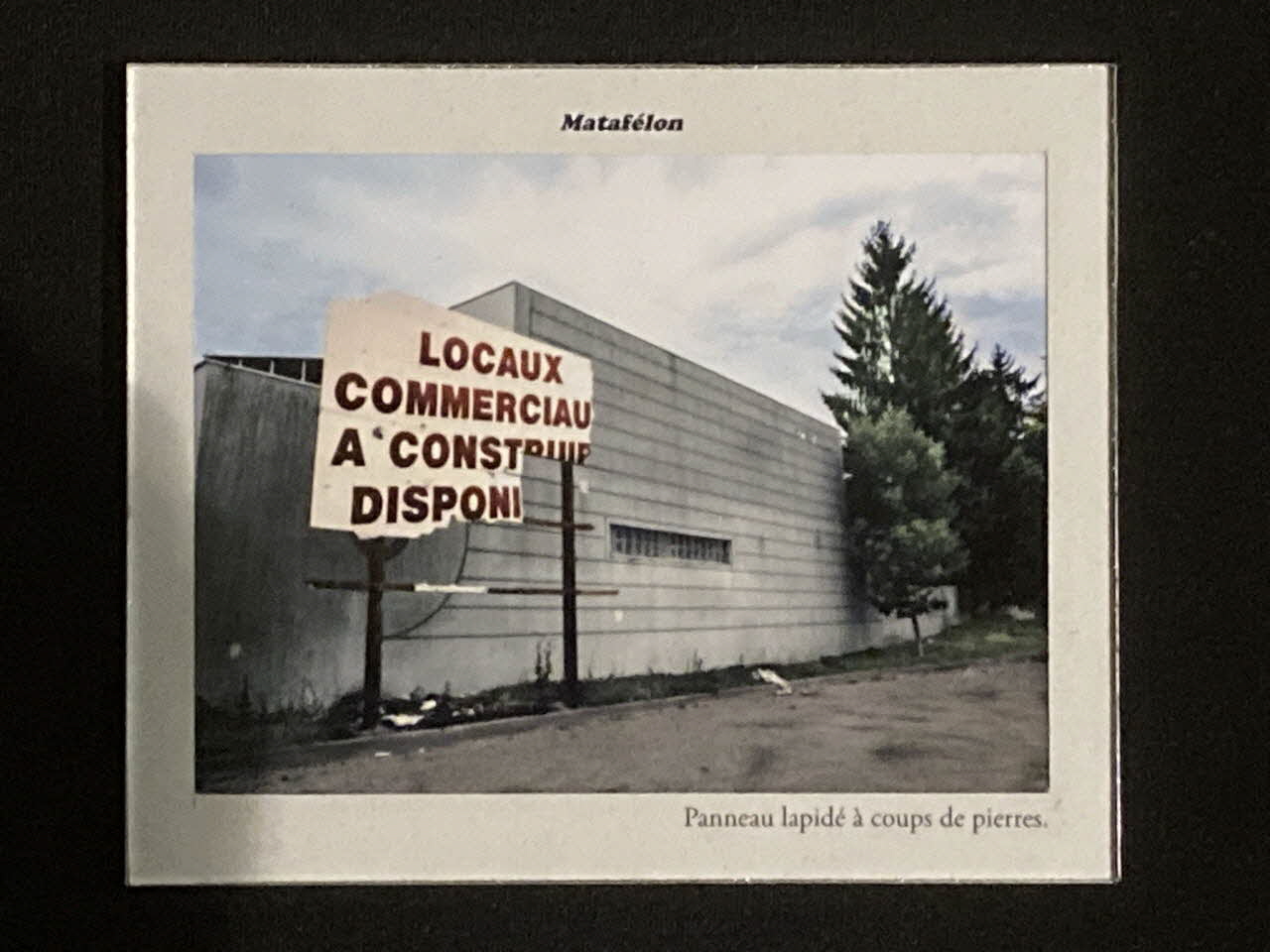 Pierre Fisher ; Justin Meekel élément de l'installation Verdure Tour : De la France mystérieuse Rhône-Alpes, France 2009/7/8-2009/8/13 2020.44.1.93 Photo Mucem