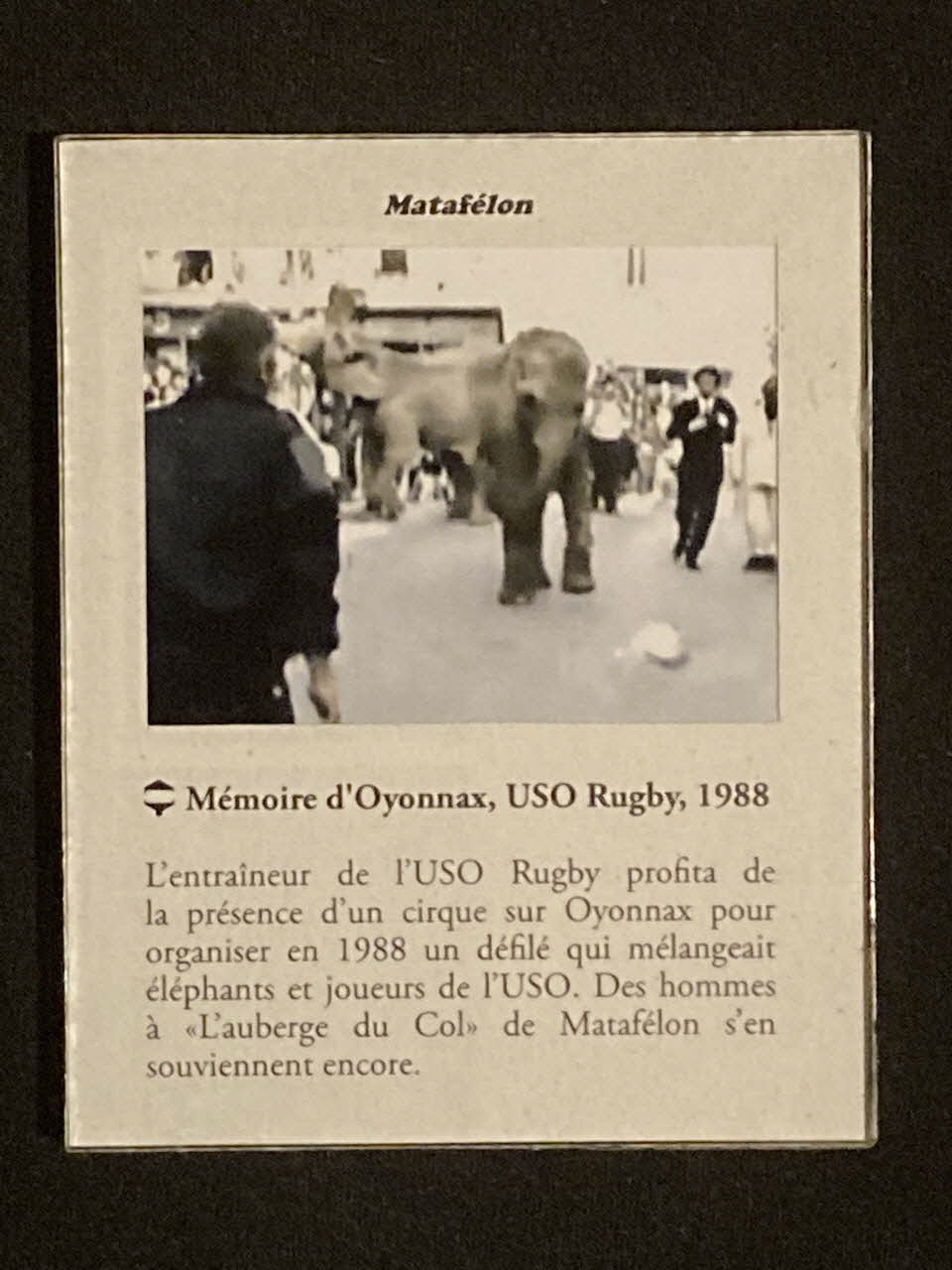 Pierre Fisher ; Justin Meekel élément de l'installation Verdure Tour : De la France mystérieuse Rhône-Alpes, France 2009/7/8-2009/8/13 2020.44.1.94 Photo Mucem