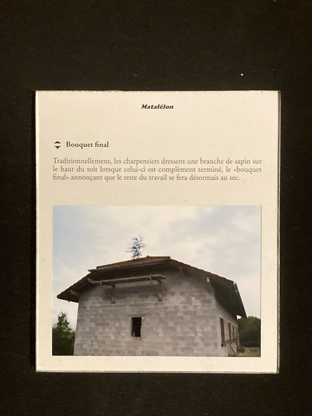 Pierre Fisher ; Justin Meekel élément de l'installation Verdure Tour : De la France mystérieuse Rhône-Alpes, France 2009/7/8-2009/8/13 2020.44.1.95 Photo Mucem