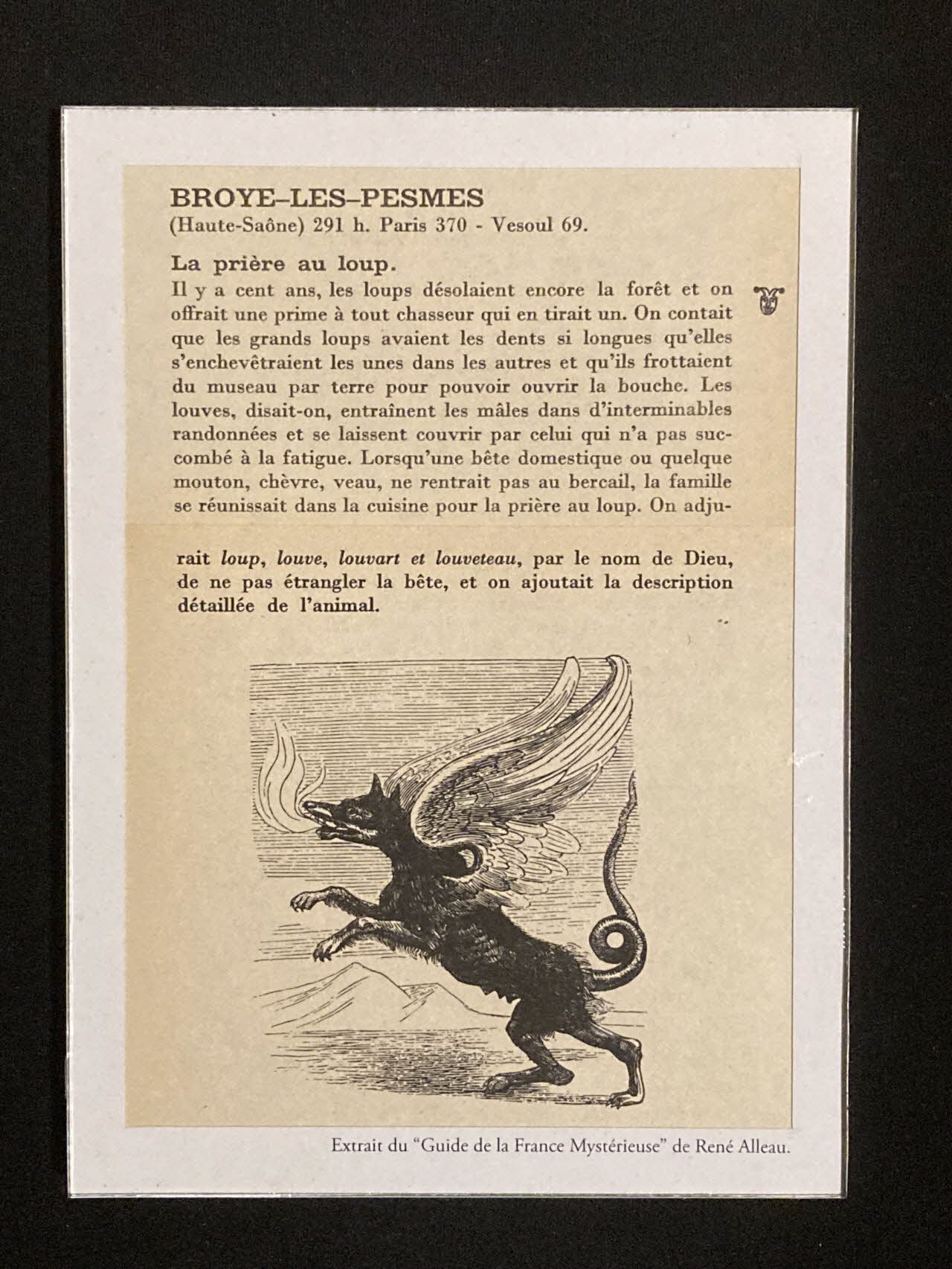 Pierre Fisher ; Justin Meekel élément de l'installation Verdure Tour : De la France mystérieuse 2009/7/8-2009/8/13 2020.44.1.97 Photo Mucem