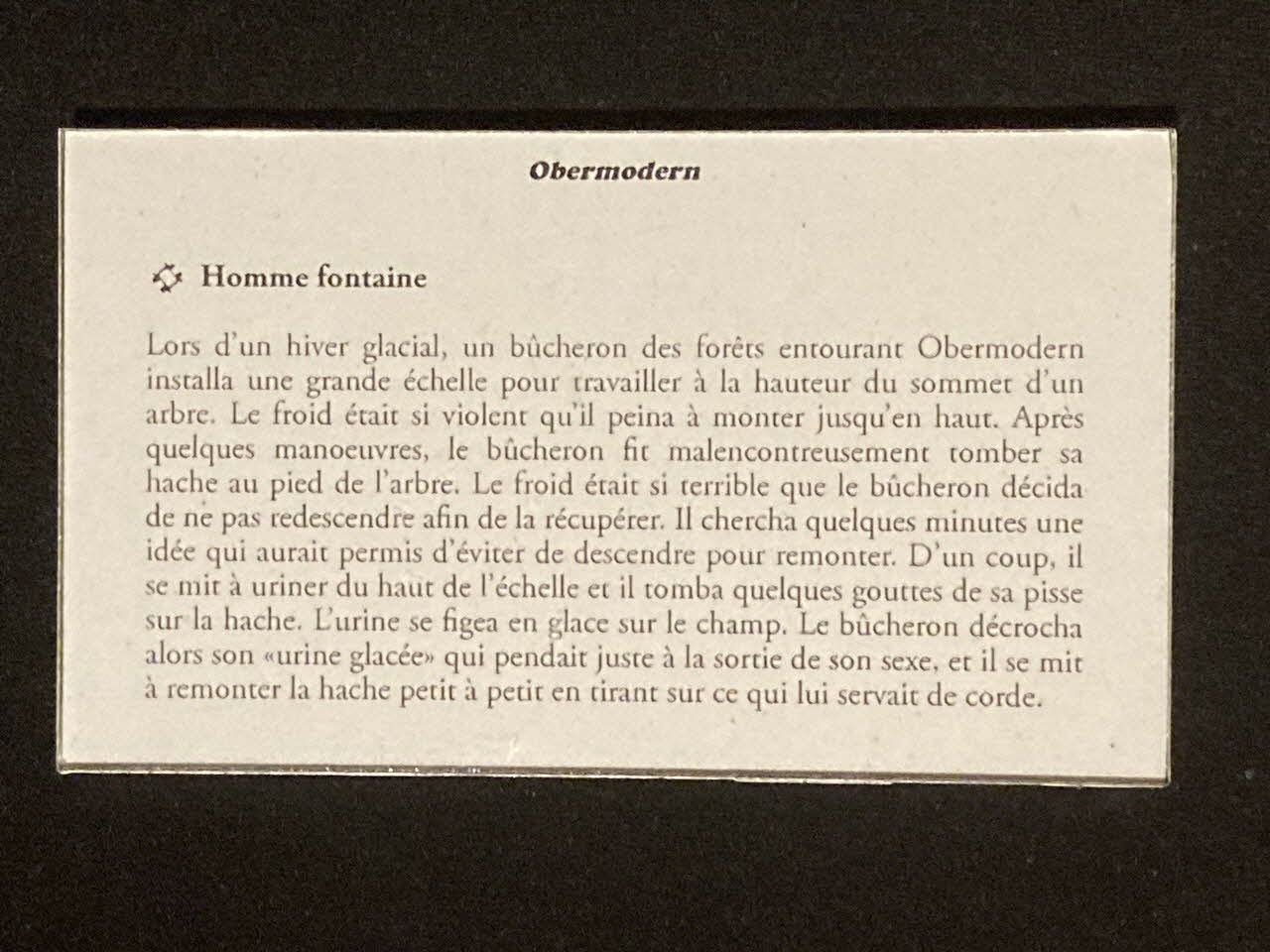 Pierre Fisher ; Justin Meekel élément de l'installation Verdure Tour : De la France mystérieuse Alsace, France 2009/7/8-2009/8/13 2020.44.1.99 Photo Mucem