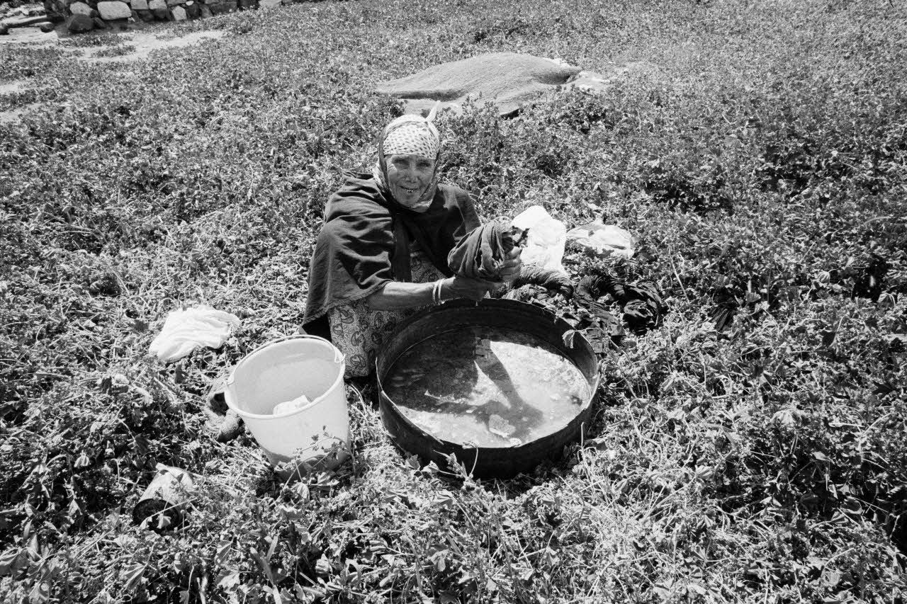 Alain Leloup ; Studio AZA tirage photographique Travail aux champs Provence-Alpes-Côte d’Azur, Algérie 1979 2021.1.15 Photo Collection Mucem  Alain Leloup