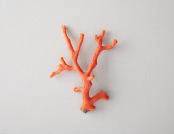 branche de corail 2018.83.1 Photo Mucem / Marianne Kuhn