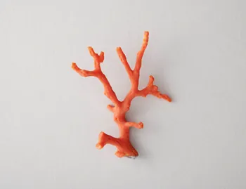 branche de corail 2018.83.1 Photo Mucem / Marianne Kuhn