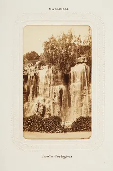 Collé et Vérane tirage photographique Marseille. Jardin Zoologique Provence-Alpes-Côte d'Azur, France 1860-1870 2020.41.1.93 Photo Mucem / Marianne Kuhn