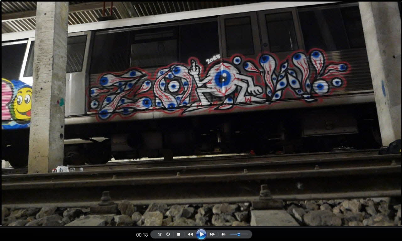 Marco Mendia ; Zoow24 vidéo Ensemble "Buka buff" Munténie, Roumanie 2015 2020.22.60.1-6 Photo Collection Mucem, cliché Mucem