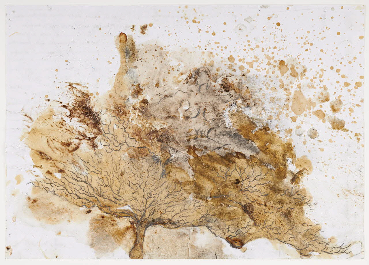 Zehra Dogan dessin Arbre, impression du matin Turquie 2017/11/14 2019.12.9 Photo Mucem / Marianne Kuhn