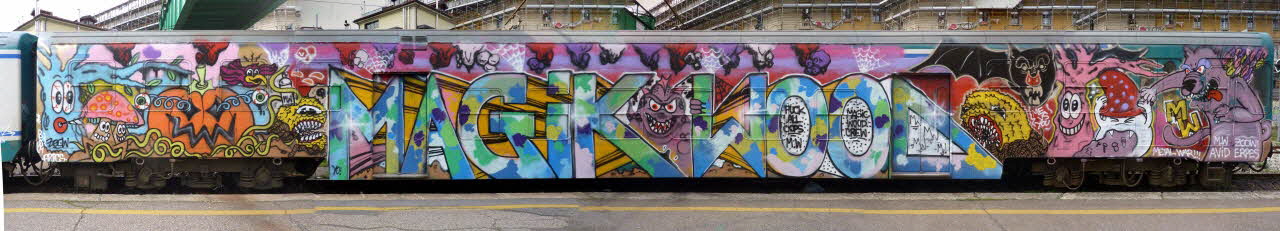 Zoow24 montage photographique Wholecar Lombardie, Italie 2010 2020.22.61.43 Photo Collection Mucem, cliché Zoow24