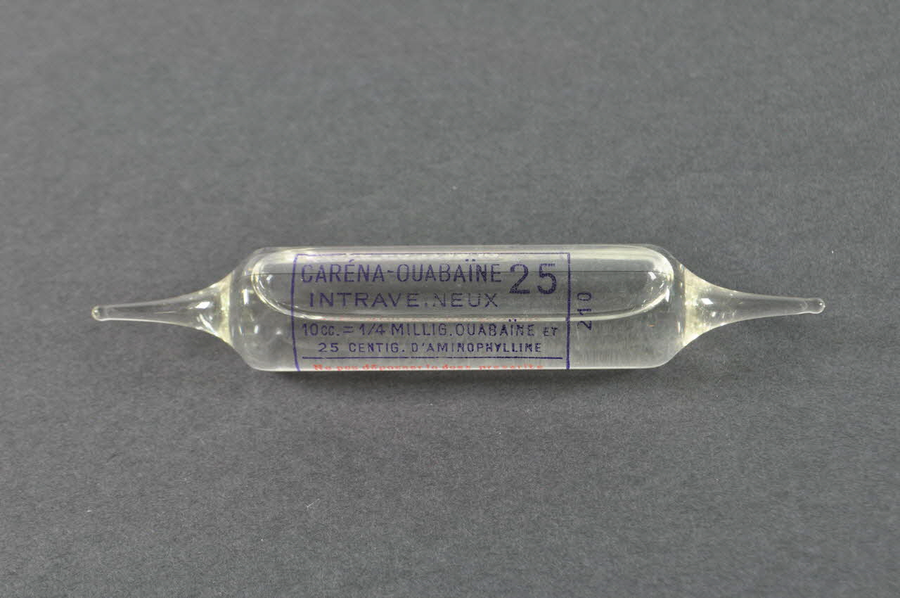 ampoule 1970 2000.60.1239.10 Photo Mucem