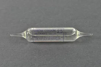 ampoule 1970 2000.60.1239.10 Photo Mucem