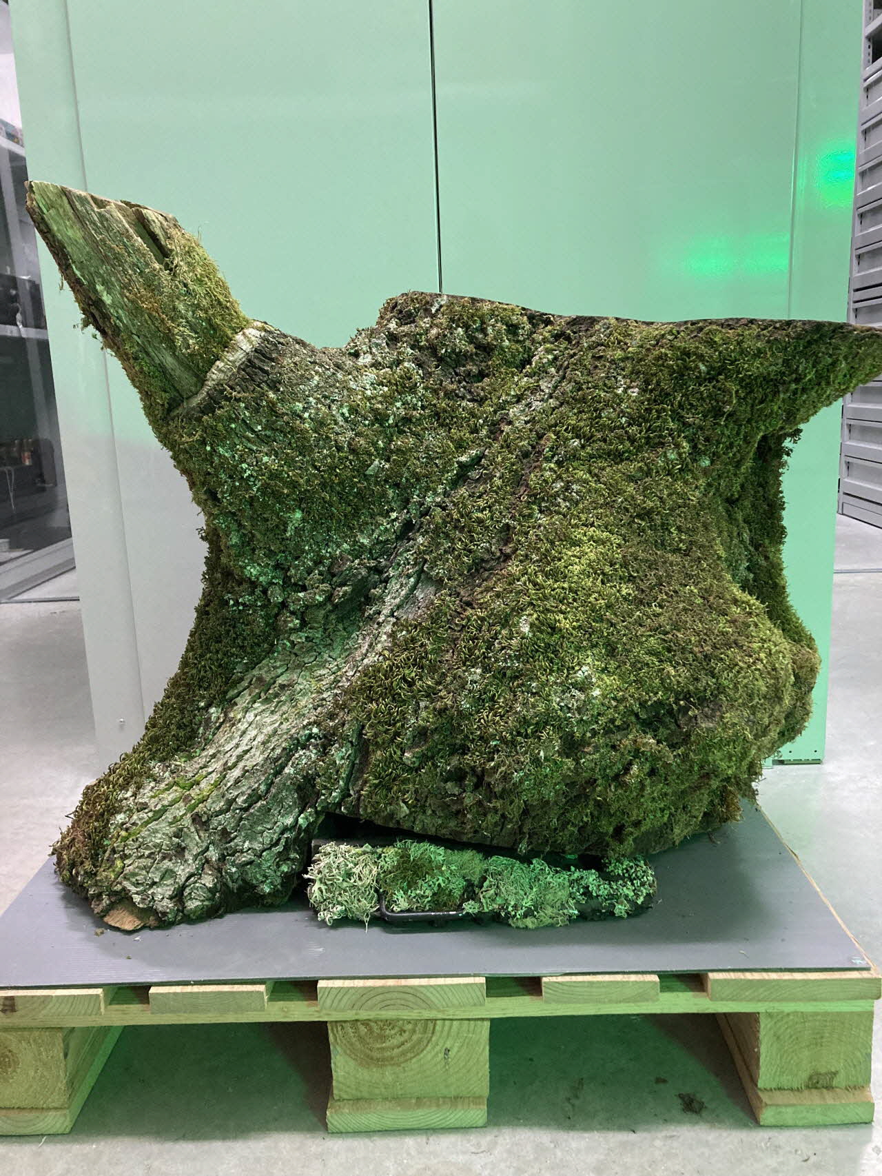 Pierre Fisher ; Justin Meekel élément de l'installation Verdure Tour : De la France mystérieuse 2009/7/8-2009/8/13 2020.44.1.103 Photo Mucem