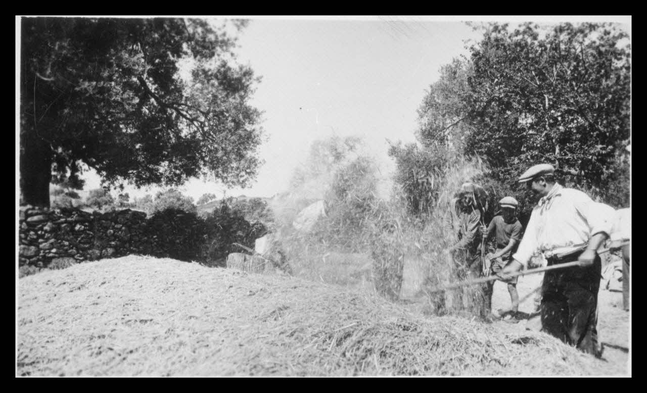 F. Agostini photographie Place du couvert. Dépiquage et vannage à la fourche de bois Corse, France 1942/7/1 Ph.1942.138.4 Photo