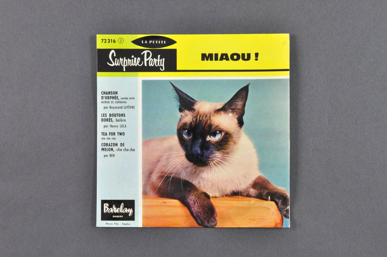 disque 45 tours Petite surprise party miaou ! 2001.69.16.2509.1-2 Photo Mucem