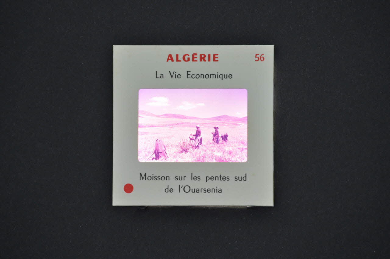 M Hamelle ; Ministère Des Affaires Algériennes diapositive Algérie. Moisson sur les pentes sud de l'Ouarsenia Ile-de-France, Algérie 1960 2002.157.1.57 Photo Mucem