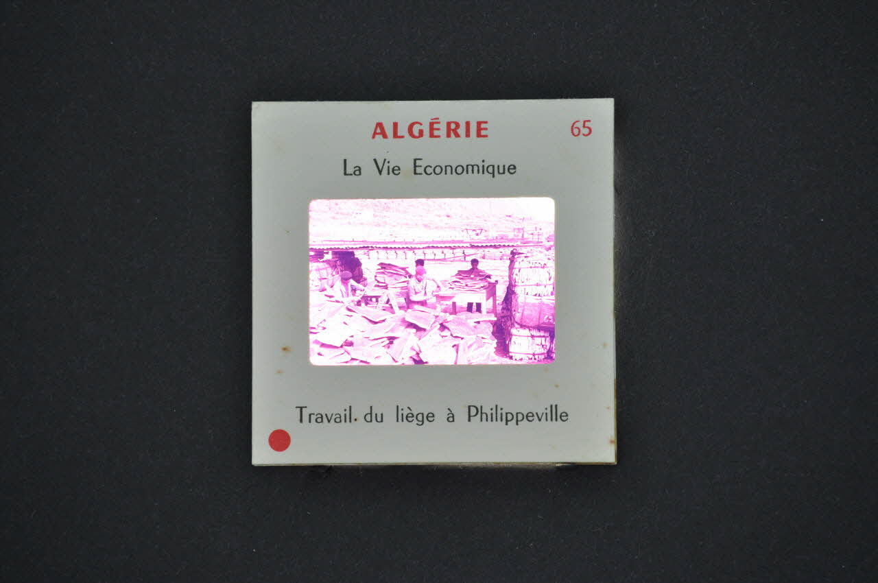 M Hamelle ; Ministère Des Affaires Algériennes diapositive Algérie. Travail du liège à Philippeville Ile-de-France, Algérie 1960 2002.157.1.66 Photo Mucem