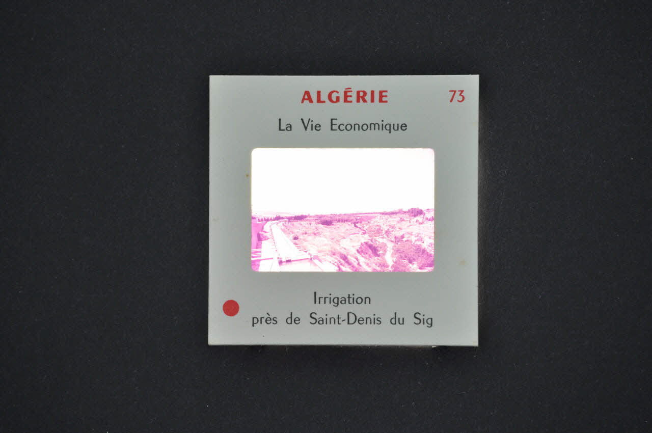 M Hamelle ; Ministère Des Affaires Algériennes diapositive Algérie. Irrigation près de Saint-Denis du Sig Oranie, Algérie 1960 2002.157.1.74 Photo Mucem