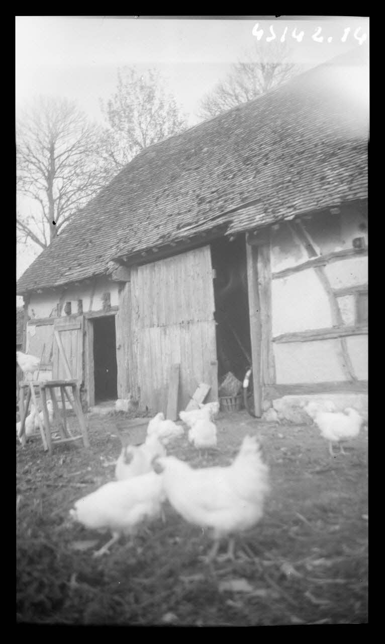 Laroche photographie MNATP. Enquête sur la Sologne Centre, France 1945/11/10 Ph.1945.142.14 Photo