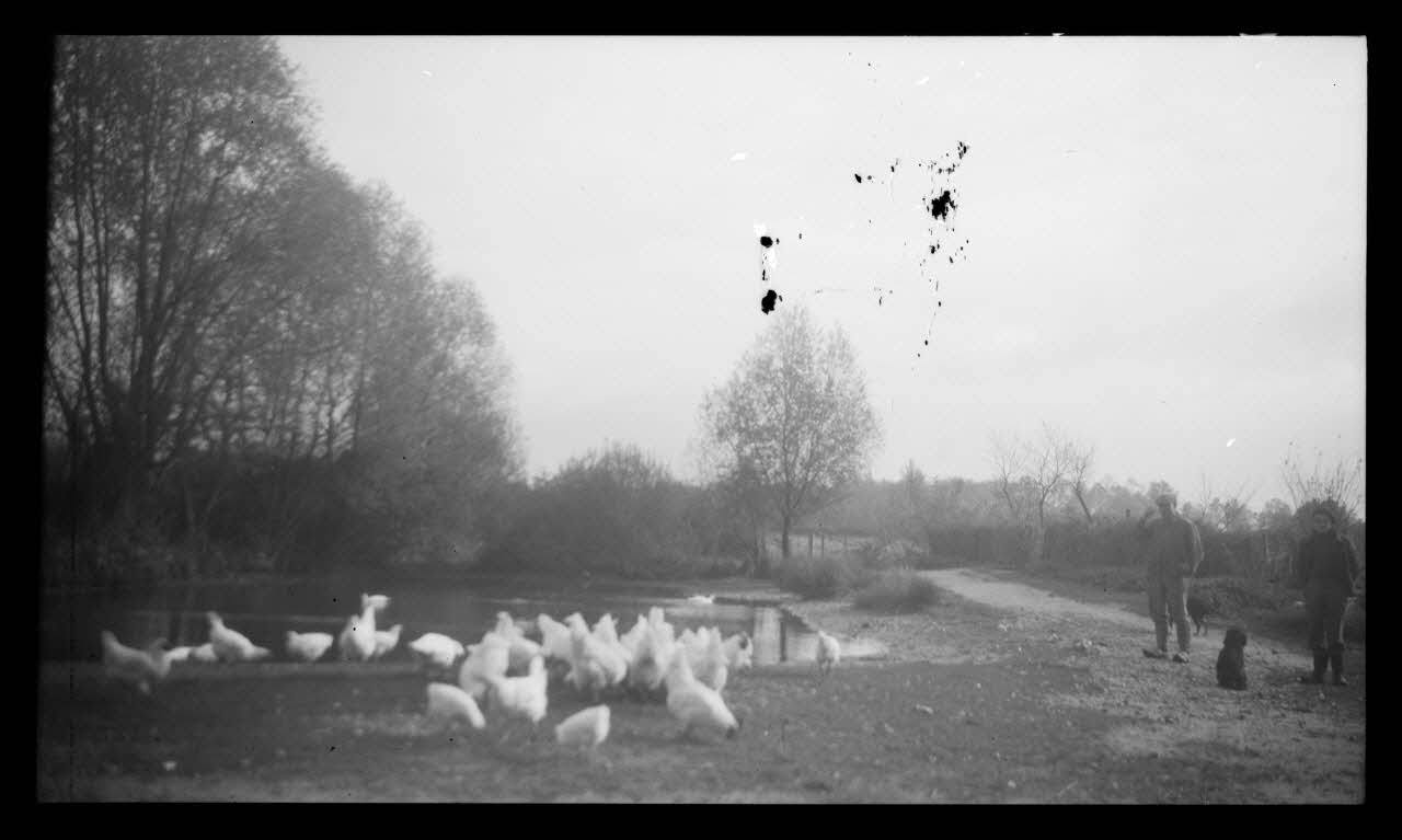 Laroche photographie MNATP. Enquête sur la Sologne Centre, France 1945/11/13 Ph.1945.142.19 Photo
