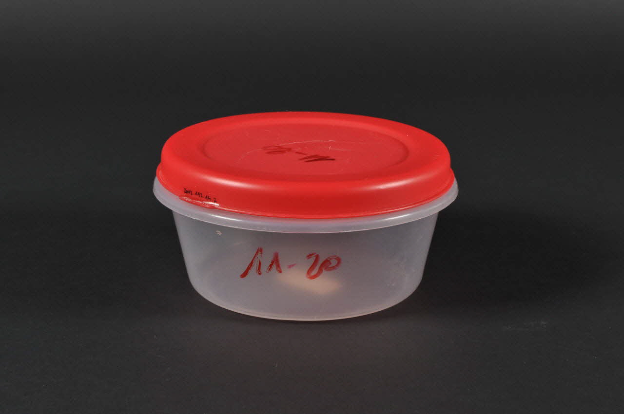 boîte 2002.192.14.1-2 Photo Mucem